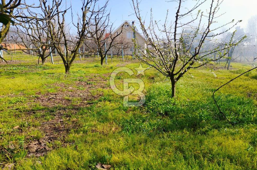 ALTINOVA CUMHURİYET MAH. 5350 M2 ARAZİ VE İÇİNDE SATILIK VİLLA!