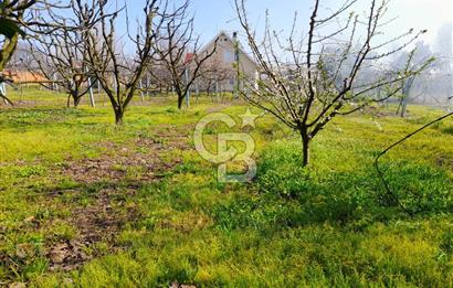 ALTINOVA CUMHURİYET MAH. 5350 M2 ARAZİ VE İÇİNDE SATILIK VİLLA!