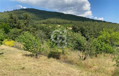 İzmir Bayındır Dernekli'de Köy İçi İmarlı Fırsat Arazi