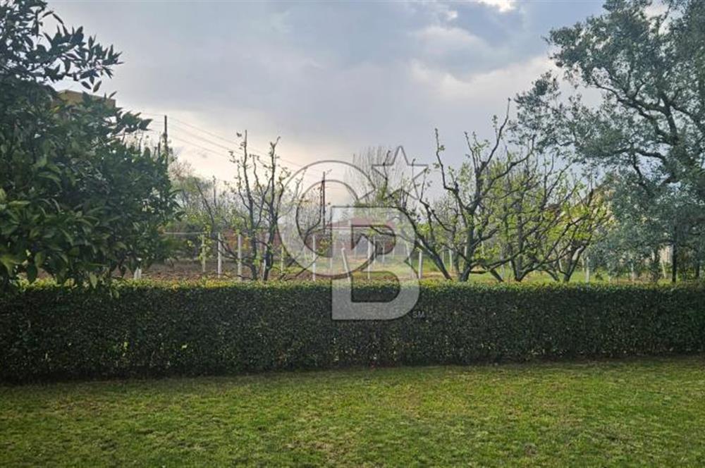 ALTINOVA CUMHURİYET MAH. 5350 M2 ARAZİ VE İÇİNDE SATILIK VİLLA!