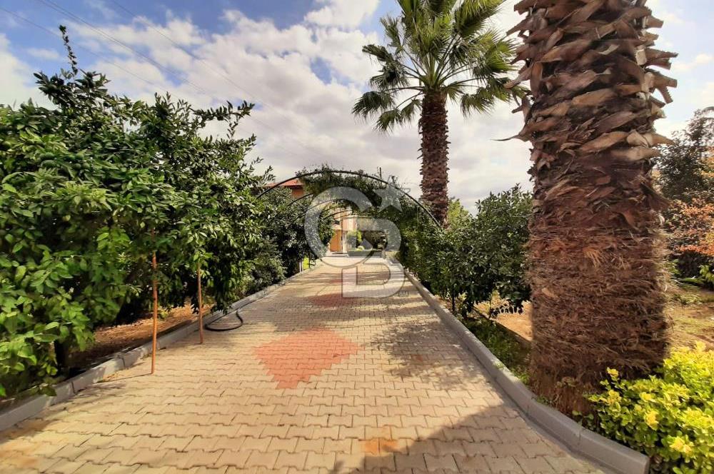 ALTINOVA CUMHURİYET MAH. 5350 M2 ARAZİ VE İÇİNDE SATILIK VİLLA!