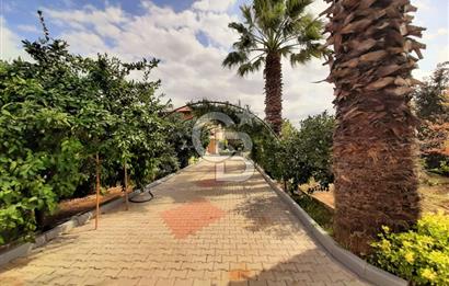 ALTINOVA CUMHURİYET MAH. 5350 M2 ARAZİ VE İÇİNDE SATILIK VİLLA!
