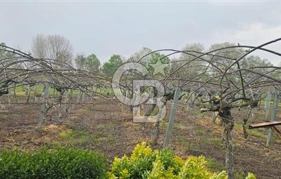 ALTINOVA CUMHURİYET MAH. 5350 M2 ARAZİ VE İÇİNDE SATILIK VİLLA!