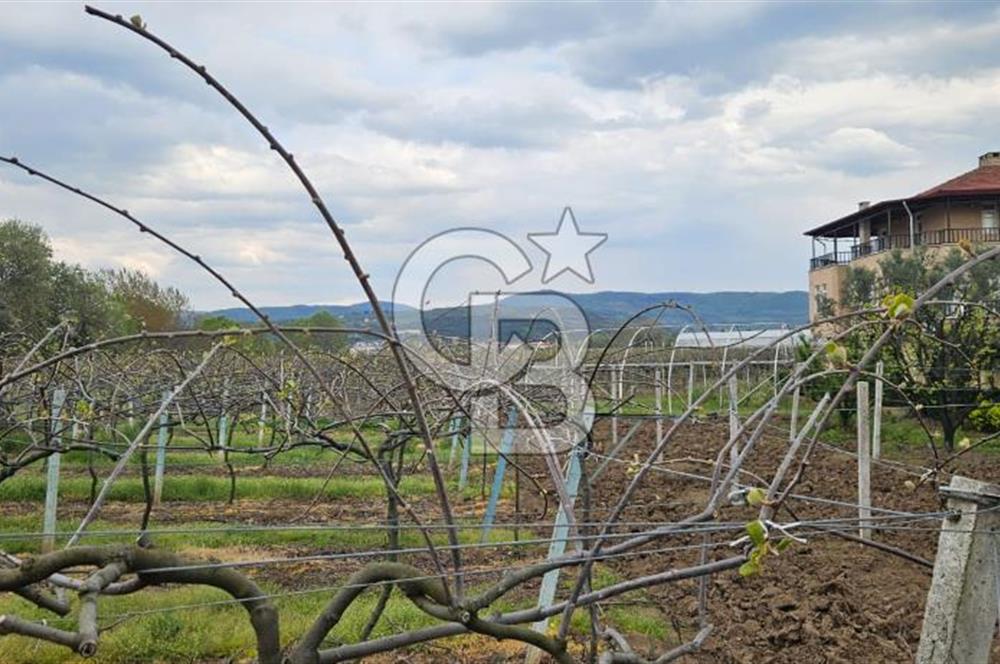 ALTINOVA CUMHURİYET MAH. 5350 M2 ARAZİ VE İÇİNDE SATILIK VİLLA!