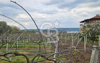 ALTINOVA CUMHURİYET MAH. 5350 M2 ARAZİ VE İÇİNDE SATILIK VİLLA!