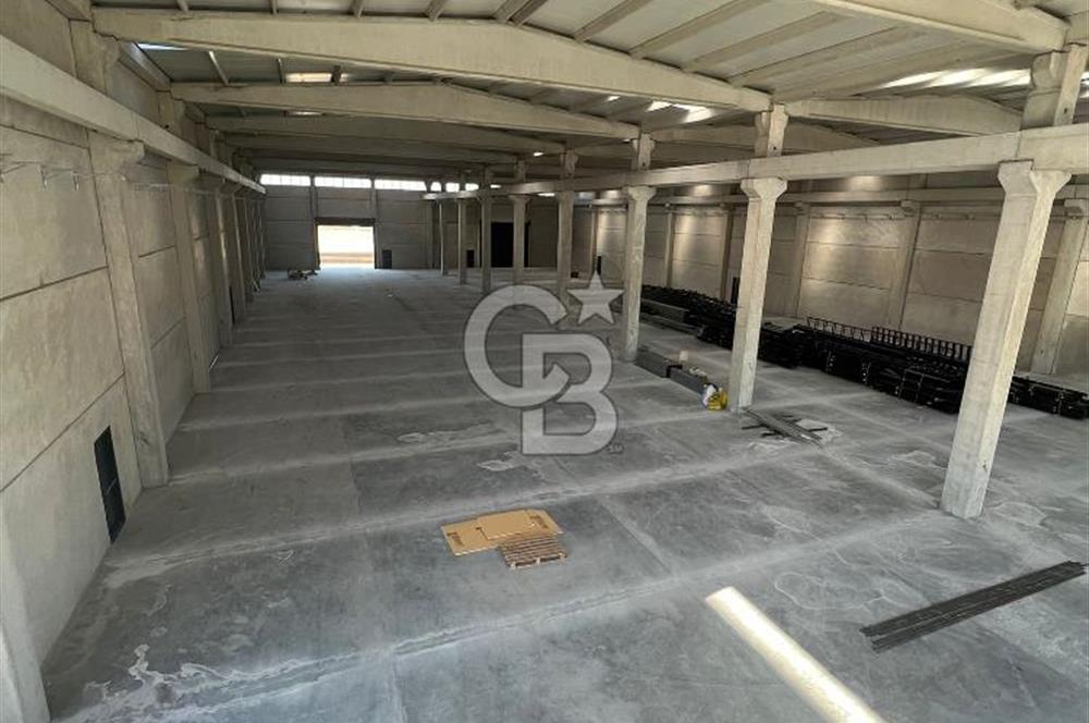Menderes, Oğlananası Atatürk Mahallesi Kiralık Depo
