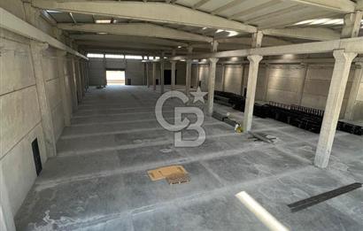 Menderes, Oğlananası Atatürk Mahallesi Kiralık Depo