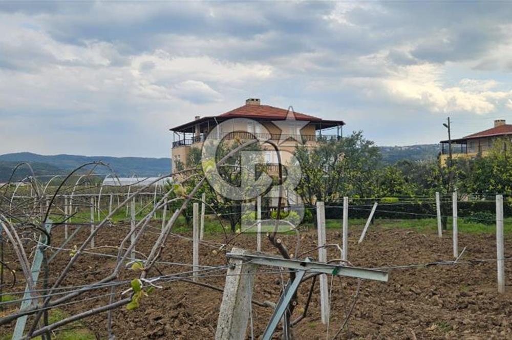 ALTINOVA CUMHURİYET MAH. 5350 M2 ARAZİ VE İÇİNDE SATILIK VİLLA!