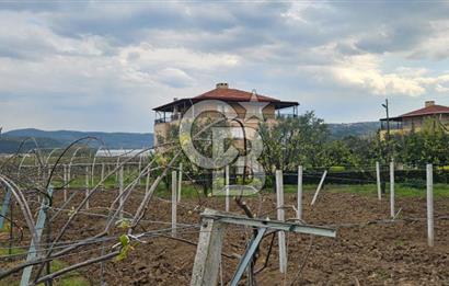 ALTINOVA CUMHURİYET MAH. 5350 M2 ARAZİ VE İÇİNDE SATILIK VİLLA!