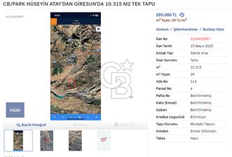 ŞEBİNKARAHİSAR 10.315