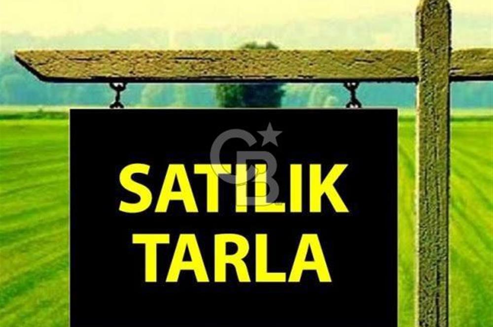 ELMADAĞ YENİMAHALLE TAŞPINAR MEVKİİNDE 2.069 M2 SATILIK TARLA