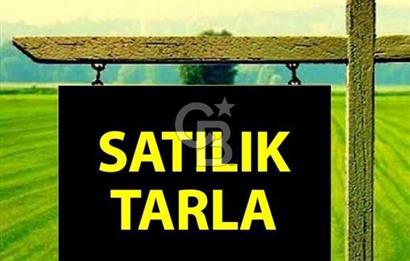 ELMADAĞ YENİMAHALLE TAŞPINAR MEVKİİNDE 2.069 M2 SATILIK TARLA