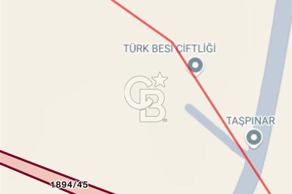 ELMADAĞ YENİMAHALLE TAŞPINAR MEVKİİNDE 2.069 M2 SATILIK TARLA