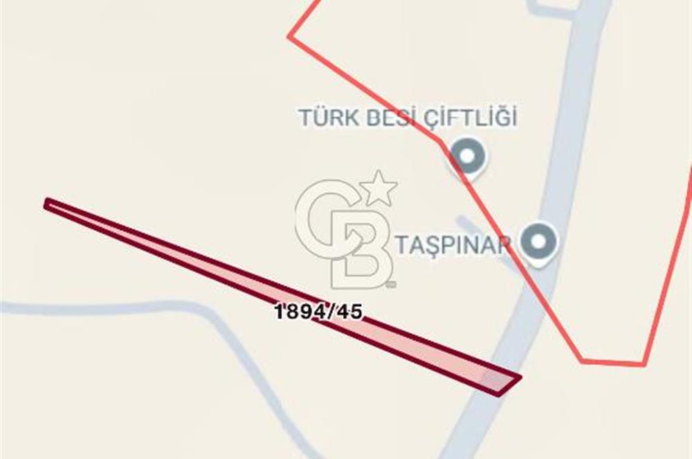 ELMADAĞ YENİMAHALLE TAŞPINAR MEVKİİNDE 2.069 M2 SATILIK TARLA