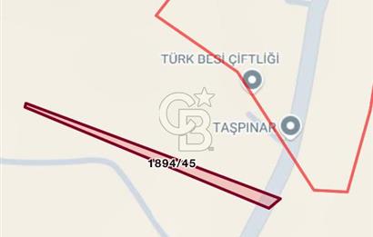 ELMADAĞ YENİMAHALLE TAŞPINAR MEVKİİNDE 2.069 M2 SATILIK TARLA
