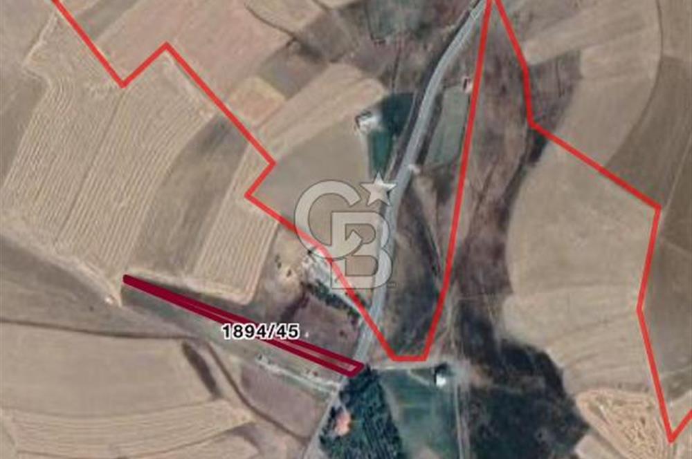 ELMADAĞ YENİMAHALLE TAŞPINAR MEVKİİNDE 2.069 M2 SATILIK TARLA