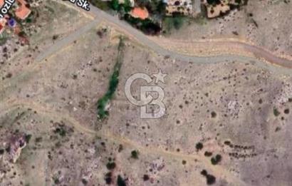 ELMADAĞ YENİMAHALLE BOYALIK MEVKİİNDE 787,94 M2 SATILIK TARLA