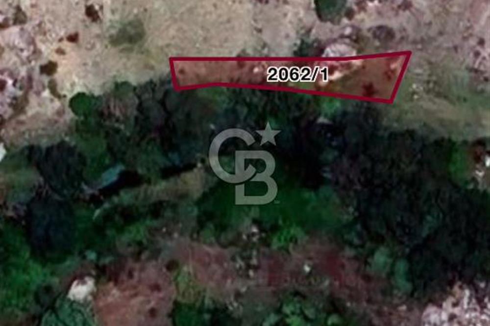 ELMADAĞ YENİMAHALLE BOYALIK MEVKİİNDE 254 M2 SATILIK TARLA