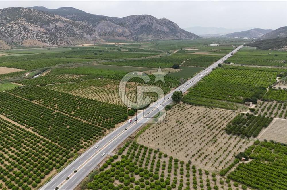 İzmir Selçuk Yolu Üzerinde Yola Cepheli Fırsat Satılık Tarla