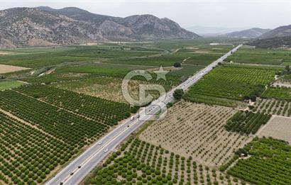 İzmir Selçuk Yolu Üzerinde Yola Cepheli Fırsat Satılık Tarla