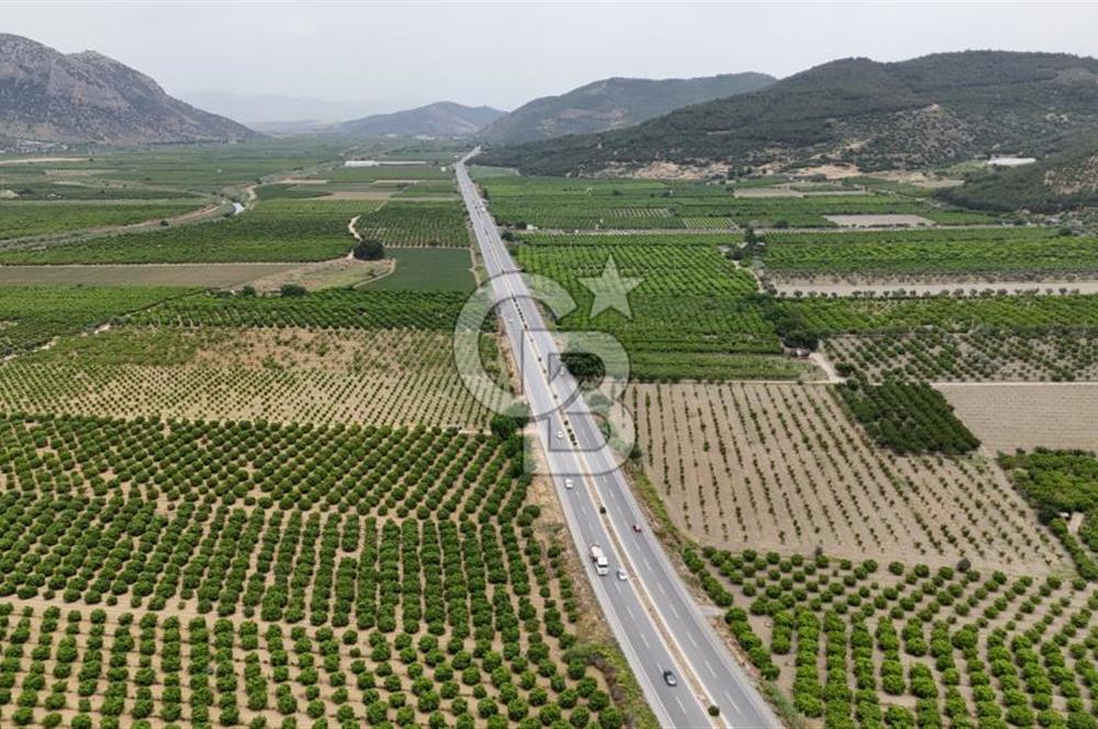 İzmir Selçuk Yolu Üzerinde Yola Cepheli Fırsat Satılık Tarla
