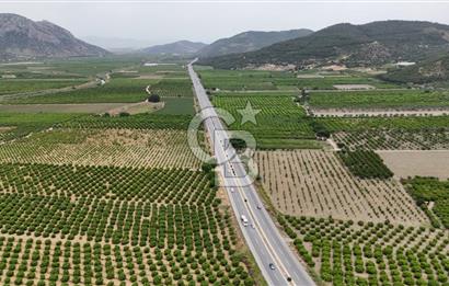 İzmir Selçuk Yolu Üzerinde Yola Cepheli Fırsat Satılık Tarla