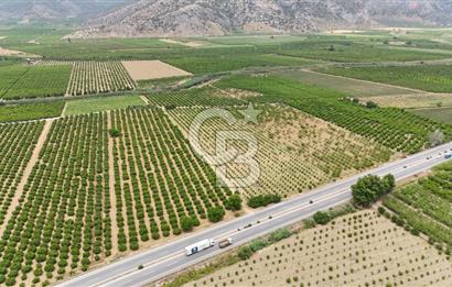 İzmir Selçuk Yolu Üzerinde Yola Cepheli Satılık Arsa