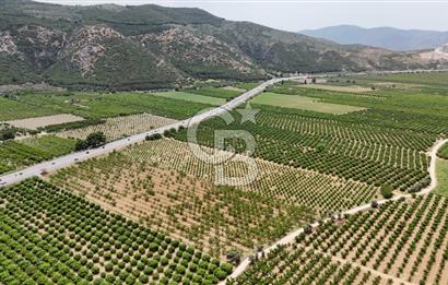İzmir Selçuk Yolu Üzerinde Yola Cepheli Fırsat Satılık Tarla