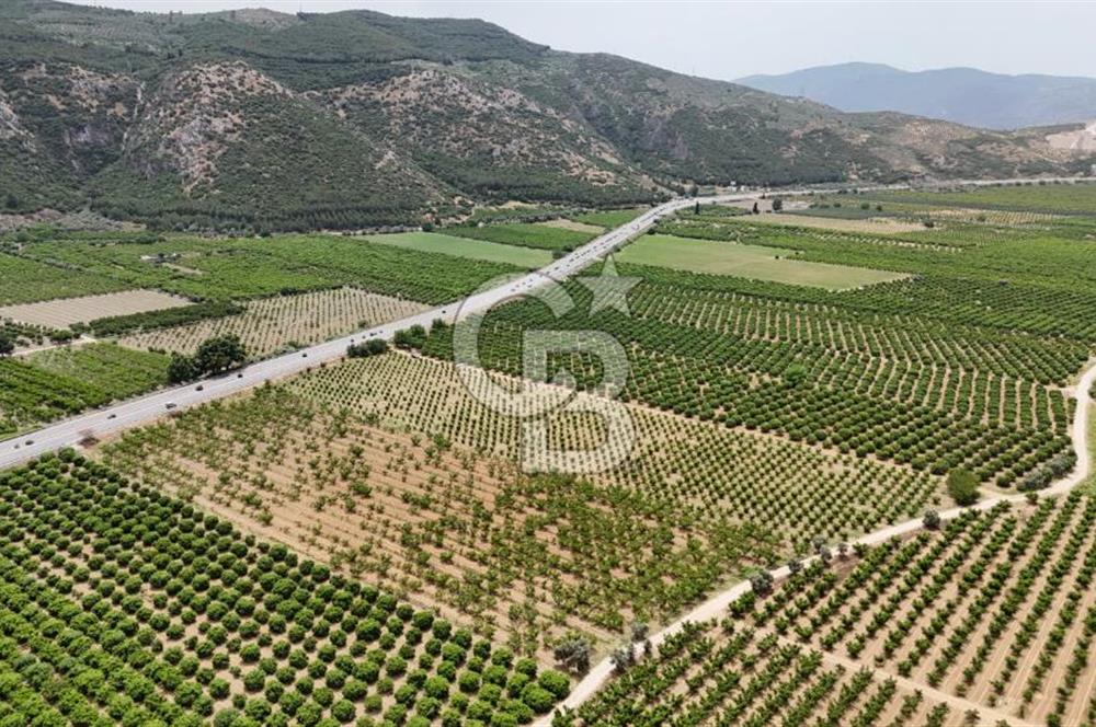 İzmir Selçuk Yolu Üzerinde Yola Cepheli Satılık Arsa