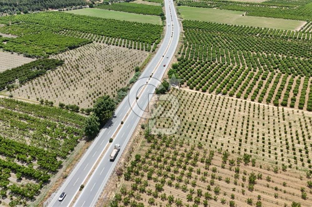 İzmir Selçuk Yolu Üzerinde Yola Cepheli Fırsat Satılık Tarla