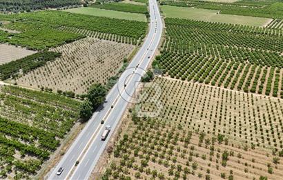İzmir Selçuk Yolu Üzerinde Yola Cepheli Fırsat Satılık Tarla