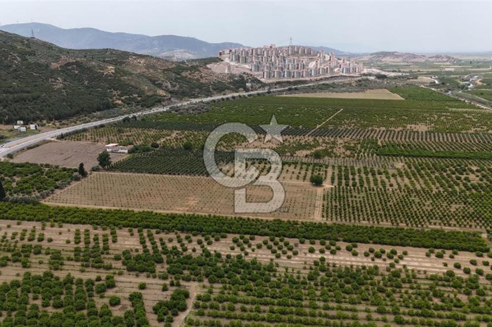 İzmir Selçuk Yolu Üzerinde Yola Cepheli Fırsat Satılık Tarla