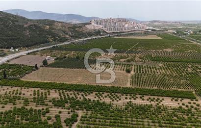 İzmir Selçuk Yolu Üzerinde Yola Cepheli Fırsat Satılık Tarla
