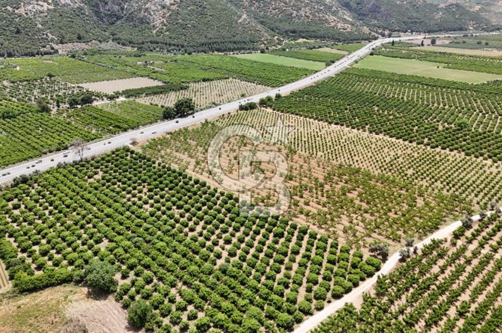 İzmir Selçuk Yolu Üzerinde Yola Cepheli Fırsat Satılık Tarla