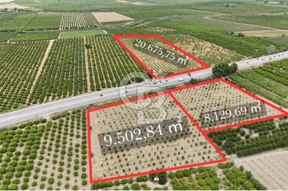 İzmir Selçuk Yolu Üzerinde Yola Cepheli Fırsat Satılık Tarla