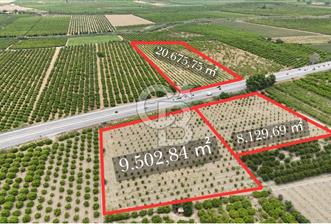 İzmir Selçuk Yolu Üzerinde Yola Cepheli Fırsat Satılık Tarla