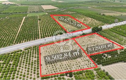 İzmir Selçuk Yolu Üzerinde Yola Cepheli Fırsat Satılık Tarla
