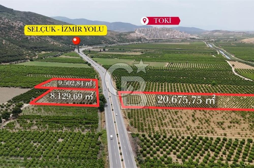 İzmir Selçuk Yolu Üzerinde Yola Cepheli Fırsat Satılık Tarla