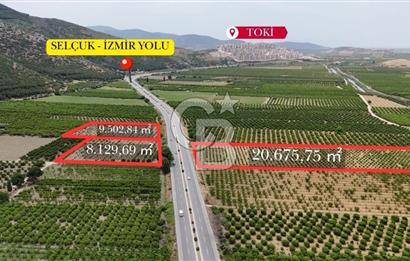 İzmir Selçuk Yolu Üzerinde Yola Cepheli Fırsat Satılık Tarla