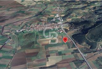 Çanakkale Yoluna 300m 5479 m2 Zeytinli Tarla
