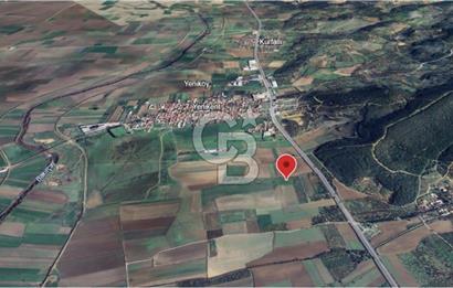 Çanakkale Yoluna 300m 5479 m2 Zeytinli Tarla