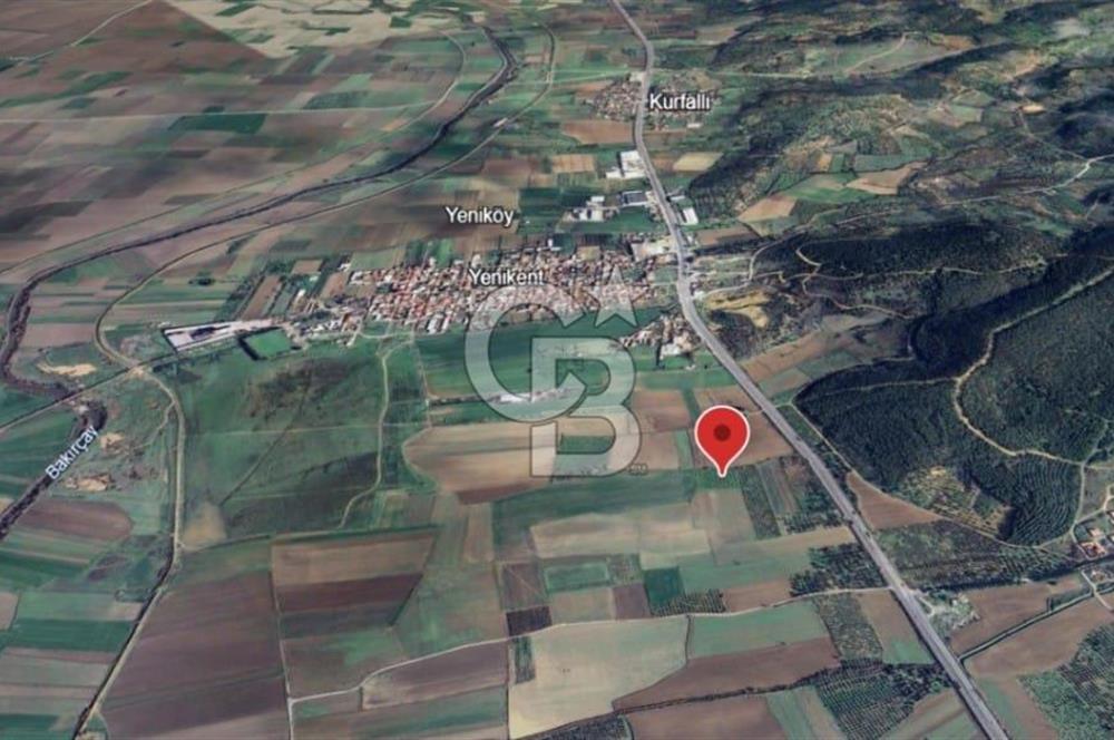 Çanakkale Yoluna 300m 5479 m2 Zeytinli Tarla