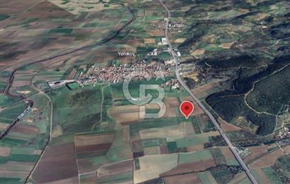 Çanakkale Yoluna 300m 5479 m2 Zeytinli Tarla