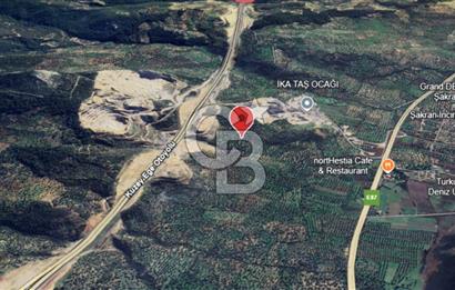 ŞAKRAN'DA 3560 M2 TEK TAPULU ZEYTİNLİK