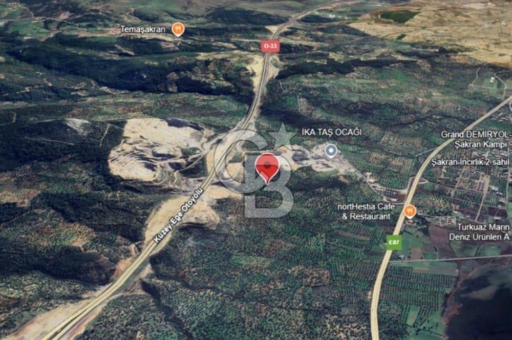 ŞAKRAN'DA 3560 M2 TEK TAPULU ZEYTİNLİK