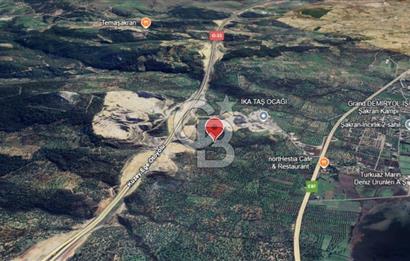 ŞAKRAN'DA 3560 M2 TEK TAPULU ZEYTİNLİK