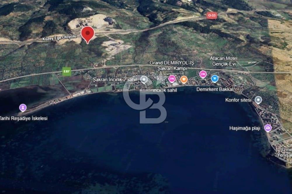 ŞAKRAN'DA 3560 M2 TEK TAPULU ZEYTİNLİK