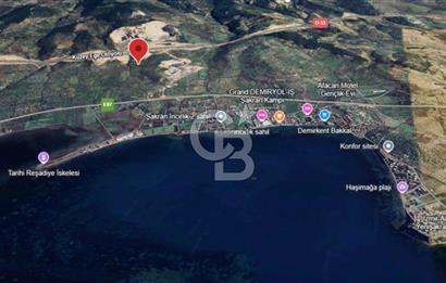 ŞAKRAN'DA 3560 M2 TEK TAPULU ZEYTİNLİK