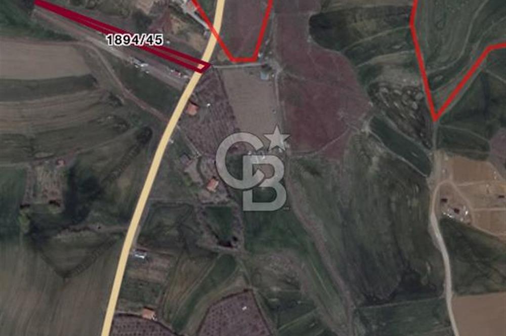 ELMADAĞ YENİMAHALLE TAŞPINAR MEVKİİNDE 2.069 M2 SATILIK TARLA