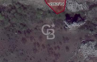 ELMADAĞ YENİMAHALLE BOYALIK MEVKİİNDE 787,94 M2 SATILIK TARLA